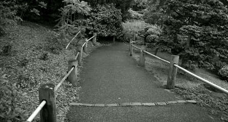 Road with a wooden fence in a tranquil garden in black and whiteの写真素材