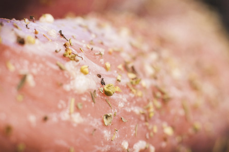 Macro close-up of raw pork tenderloin in herbs prepared for cooking.の写真素材