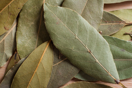 Dry bay leaves spilled on wooden board