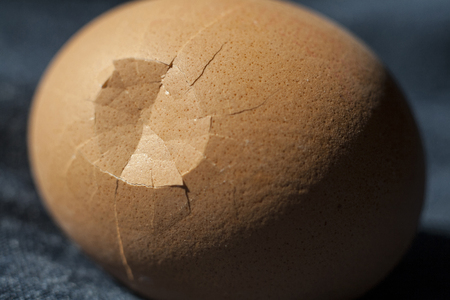 Egg with cobweb pattern on broken shellの写真素材