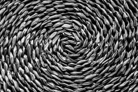 Natural straw table mat round braided, central spiral - monochrome imageの写真素材