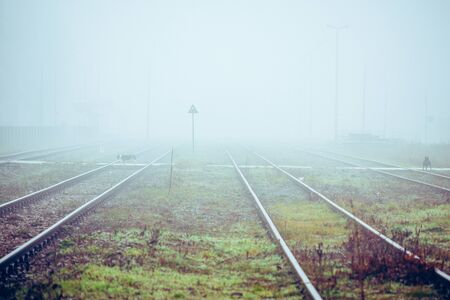 Two dogs crossong railway pedestrian cross at railway junction in foggy morningの写真素材