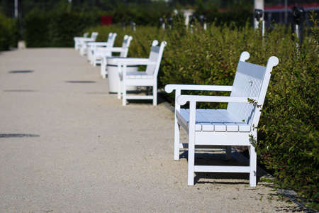 Perspective of empty white benches in a row at public park alleyの写真素材