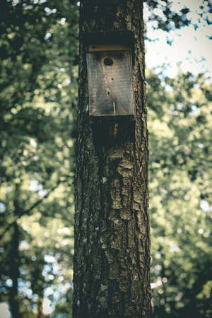 Wooden birdhouse hangt on pine tree trunk in the forestの写真素材
