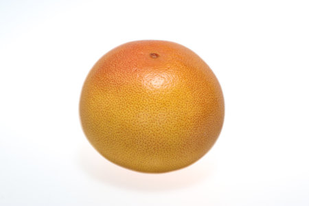 Whole single ruby grapefruit on white backgroundの写真素材