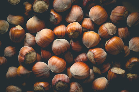Many whole hazelnuts with shells in a bowl as background