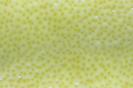 Close-up on lemon peel abstract background