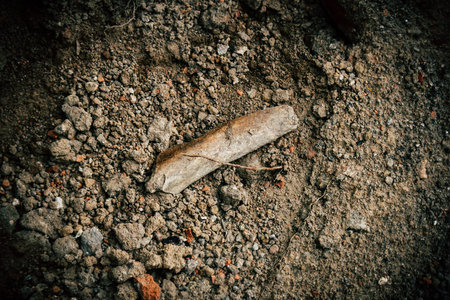 Fragment of bone lay in digged pit during groundworks