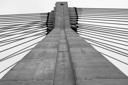 Concrete ylon with attached tie rods of cable-stayed bridge