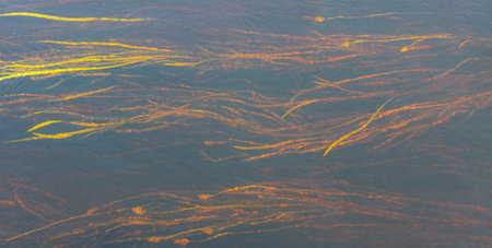 Dirty brown water flowing and foaming
