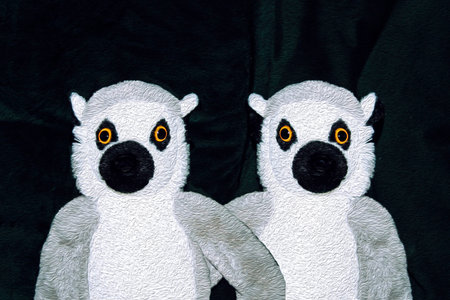 Couple of lemurs on dark background image with oil painting effect