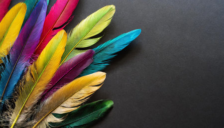 A vibrant collection of feathers in various colors neatly arranged on a dark contrasting background,...