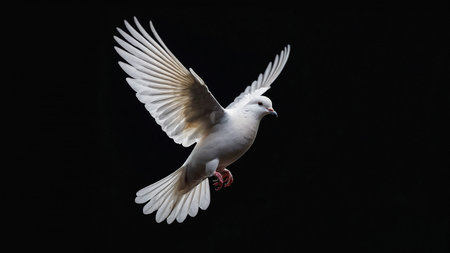 This image shows a white dove gracefully flying against a dark background, embodying peace, tranquility, and freedom with its outstretched wings and serene appearance. AI generated imageの写真素材