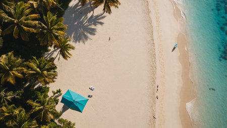 An aerial view capturing a tranquil sandy beach adorned with lush green trees and bordered by...