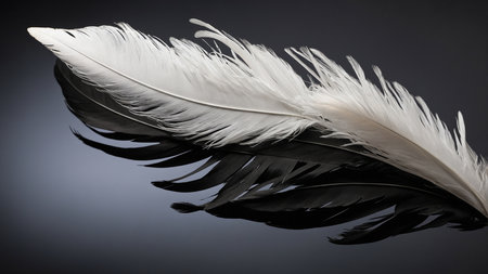 This striking image captures a perfectly balanced, elegant black-and-white feather poised on a black cloth, emphasizing its delicate structure against a contrasting background. AI generated imageの写真素材