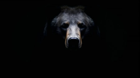 Close up of a brown bear emerging from a black background, creating a dramatic and intense wildlife portrait. Ai generated imageの素材