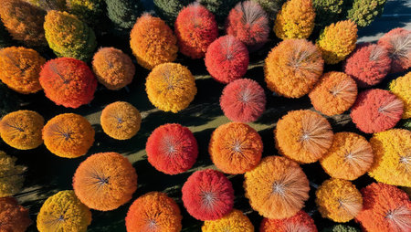 Stunning aerial perspective of bright autumn trees with diverse colors, intricately arranged in nature. AI generated imageの素材