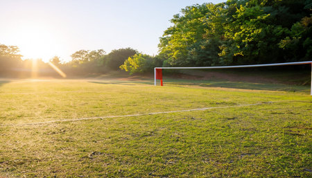 Soccer goal on green field at sunset. Football field in the morningの素材