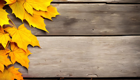 Autumn maple leaves on wooden background with copy space for your textの素材