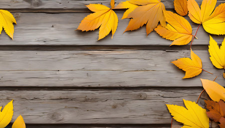 Autumn leaves on wooden background with space for text. Top viewの素材