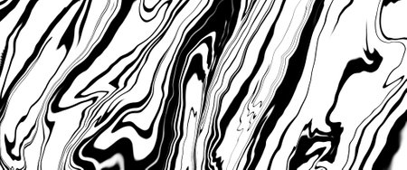 Abstract background with black and white wavy lines. Vector illustration.の写真素材