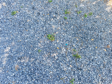 Background of small pebbles on the ground in the park.の写真素材