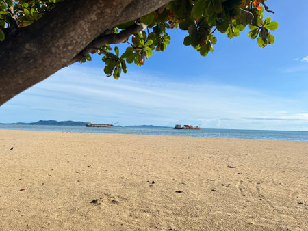 beach and tropical sea in summer season with blue sky and cloudの写真素材