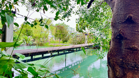 Wooden bridge over the river in the park with green trees.の写真素材