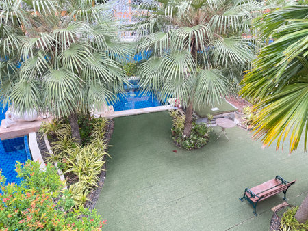 Tropical garden with palm trees and swimming pool, top viewの写真素材
