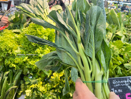 Bok choy or chinese cabbage in vegetable market, Thailand.