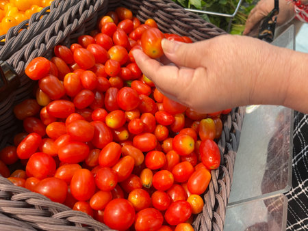Cherry tomatoes in a wicker basket on a farmer's marketの写真素材