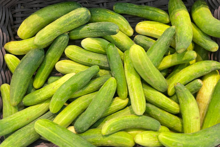 Cucumbers in a basket on a market stall, close upの写真素材