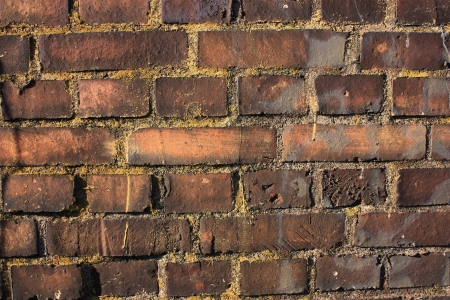 A fragment of brick wall.の写真素材