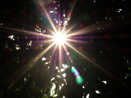SUN SHINE DAY