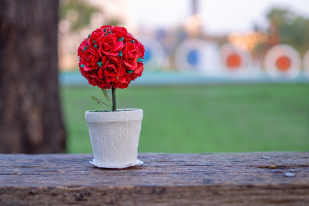 Potted red roses placed on wood floor and copy space .the background is a garden.Red roses convey love.Valentine conceptの写真素材