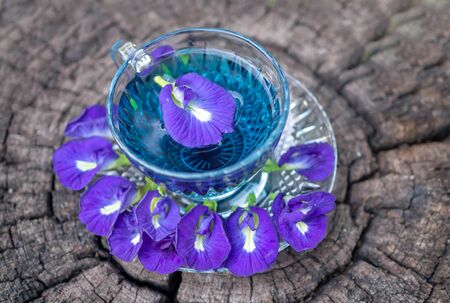 Thai herbal hot pea juice or Blue pea flower, ready to drink in a glass, placed on a wooden floor. Green backgroundの写真素材