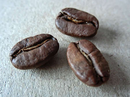 Three coffee beans close upの写真素材