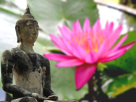 Buddha with Lotusの写真素材