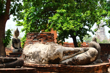 Ayutthaya temple of Thailandの写真素材