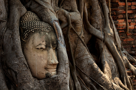 Beautiful Ayutthaya temples in Thailand.の写真素材