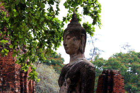 Beautiful Ayutthaya temples in Thailand.の写真素材