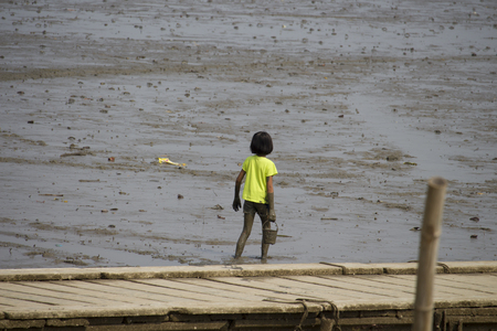 A girl playing mud in the sea.の写真素材
