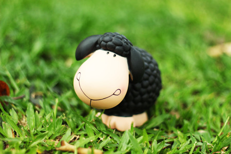 Black Sheep Doll for Home and Garden Decorationの写真素材