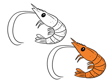 Coloring book for children: shrimp. Vector illustration on white background.の写真素材