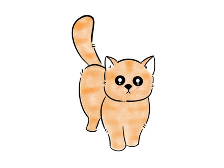 Illustration of a cute cat on a white background, vector illustrationの写真素材