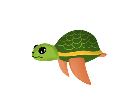 Cute cartoon turtle isolated on a white background. Vector illustration.の写真素材