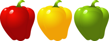 Pepper,  red, yellow, green, isolated on white, vector のイラスト素材