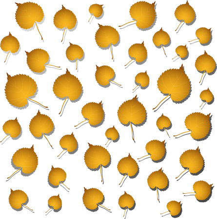 Vector linden autumn leaves. Isolated on white. のイラスト素材