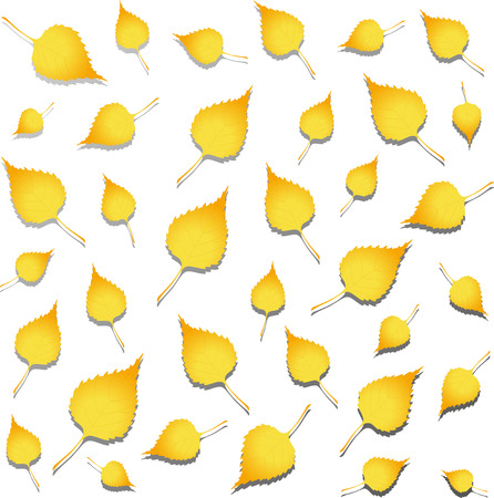 Vector autumn leaves. Isolated on white. のイラスト素材