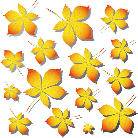 Vector Chestnut autumn leaves. Isolated on white.のイラスト素材